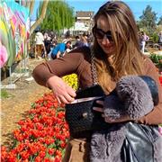 LAURETA MAGISTRALE IN METODI E TECNICHE DELLA COMUNICAZIONE DIGITALE, OFFRO UN VALIDO SUPPORTO SU MATERIE UMANISTICHE E LETTERE